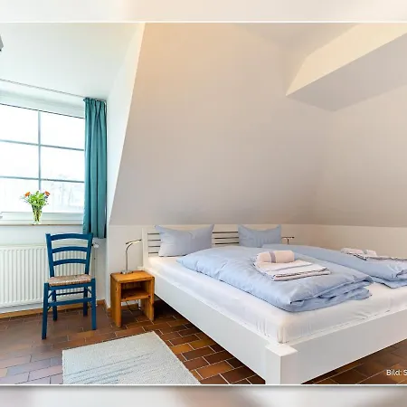 Kormoran Buhnenspitze * بريرو