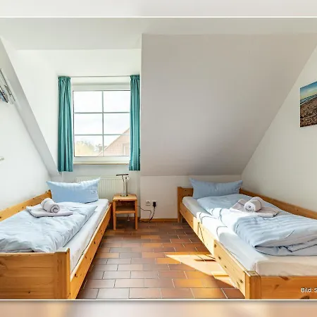 Kormoran Buhnenspitze بريرو